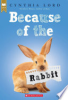 Because_of_the_rabbit