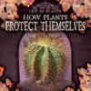 How_plants_protect_themselves