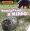 How_to_track_a_hippo