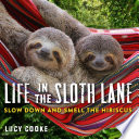 Life_in_the_Sloth_Lane