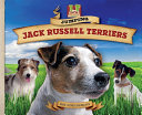 Jumping_Jack_Russell_terriers