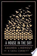 A_house_in_the_sky