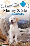 Meet_Marley