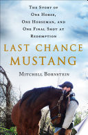 Last_chance_mustang