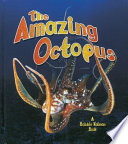 The_amazing_octopus