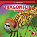 Dragonflies_up_close