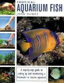 Tropical_aquarium_fish
