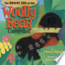 The_secret_life_of_the_woolly_bear_caterpillar