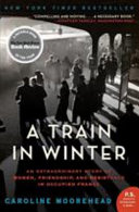 A_train_in_winter