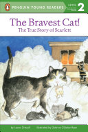 The_bravest_cat_