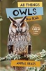 All_Things_Owls_for_Kids