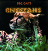 Big_cats__cheetahs