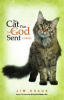 The_cat_that_God_sent