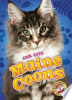 Maine_coons